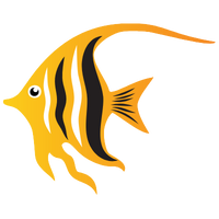 Angel fish Angel fish
