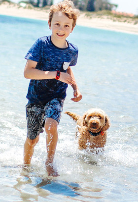 Pet-recreation.jpg
