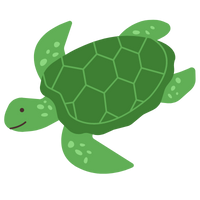 Turtle Turtle