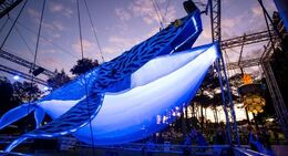 Whale-PITP-2026.jpg