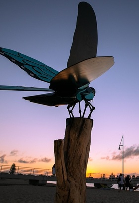 Flutter-by-Andrew-Wilmott.jpg