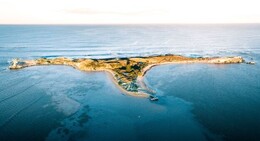 Penguin-Island.jpg